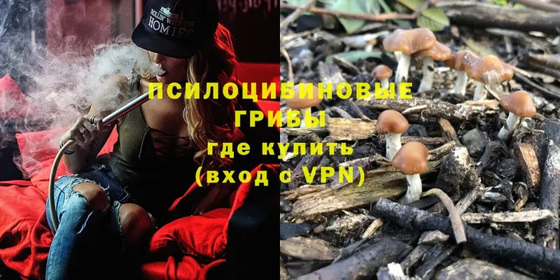 Галлюциногенные грибы Magic Shrooms  Абинск 